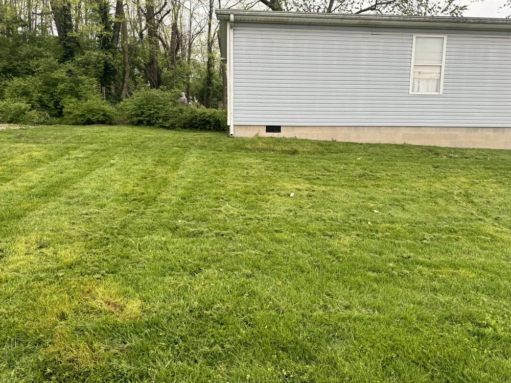 Professional outdoor landscaping experts serving Lexington, KY - Newman's Home and Lawn Care