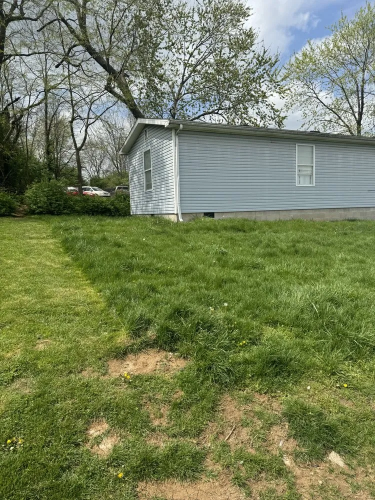 Expert yard cleanup service for year-round maintenance in Lexington, KY by Newman's Home and Lawn Care