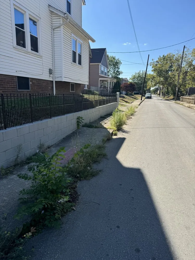 Expert outdoor landscaping experts serving Lexington, KY - Newman's Home and Lawn Care