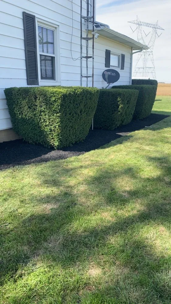 Top-rated residential landscaping in Wapakoneta, OH - Newmans Landscaping