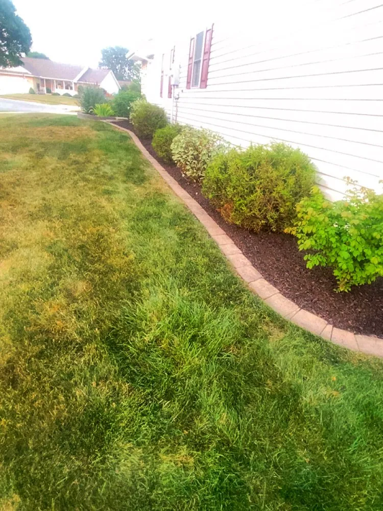 Trusted yard cleanup service in Wapakoneta, OH - Newmans Landscaping