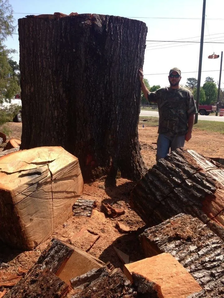 Reliable landscape design for outdoor upgrades in Sumter, SC by Newman's Lawn and Tree Service