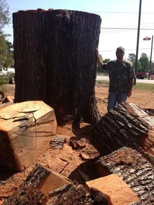 Newman's Lawn and Tree Service Logo