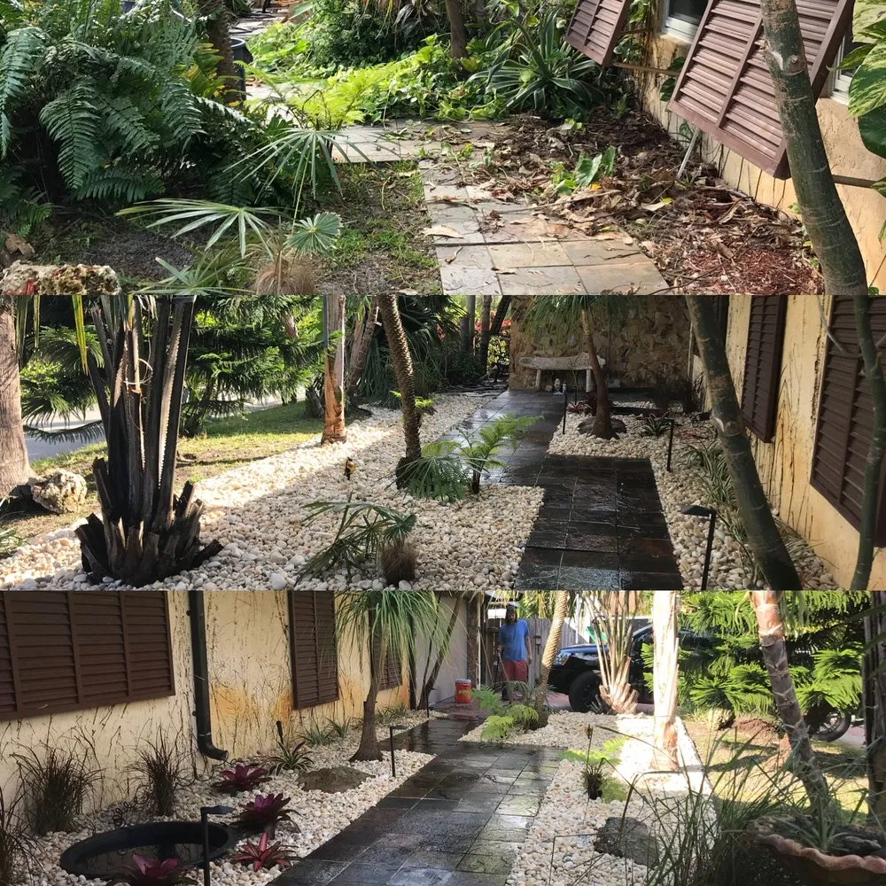 Top-rated yard cleanup service for beautiful yards in Davie, FL by Newman's Lawn Service
