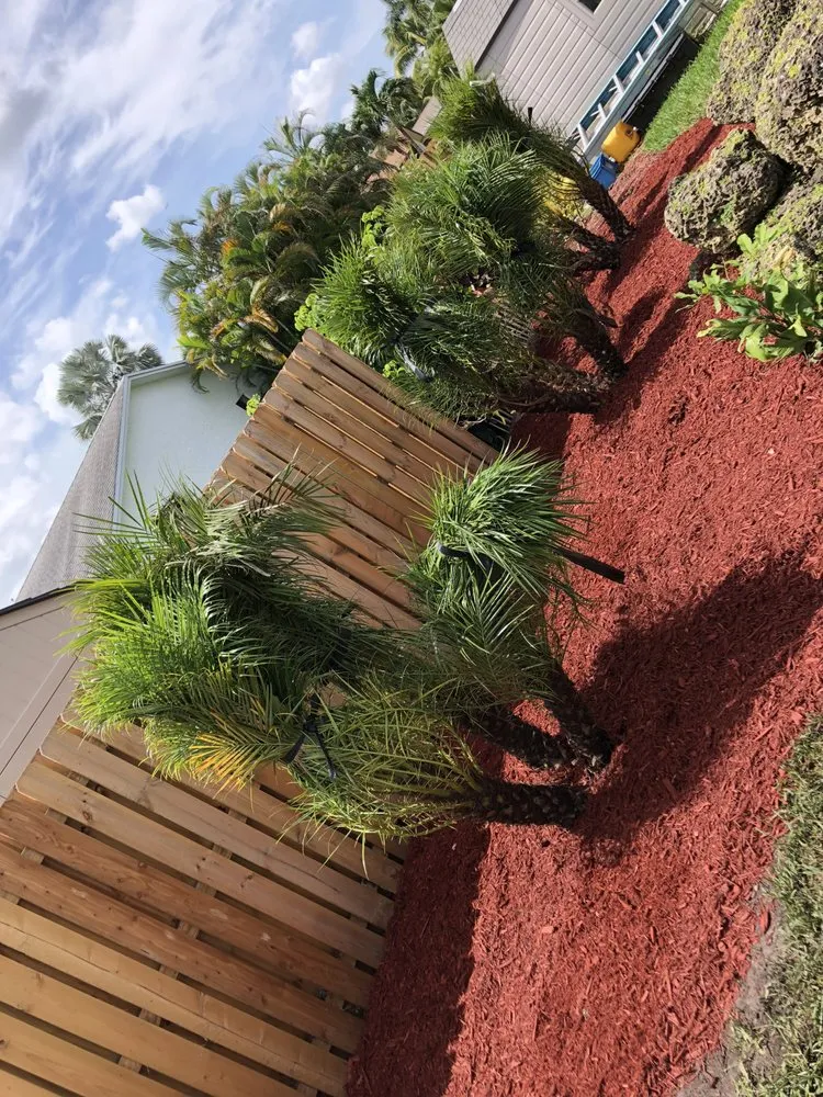 Affordable yard maintenance in Davie, FL by Newman's Lawn Service