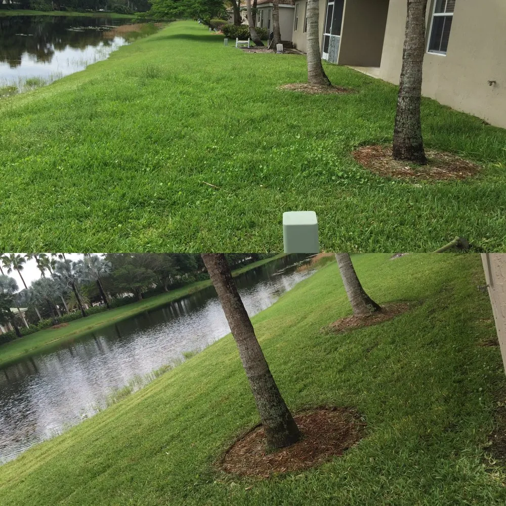 Local garden landscaping in Davie, FL - Newman's Lawn Service