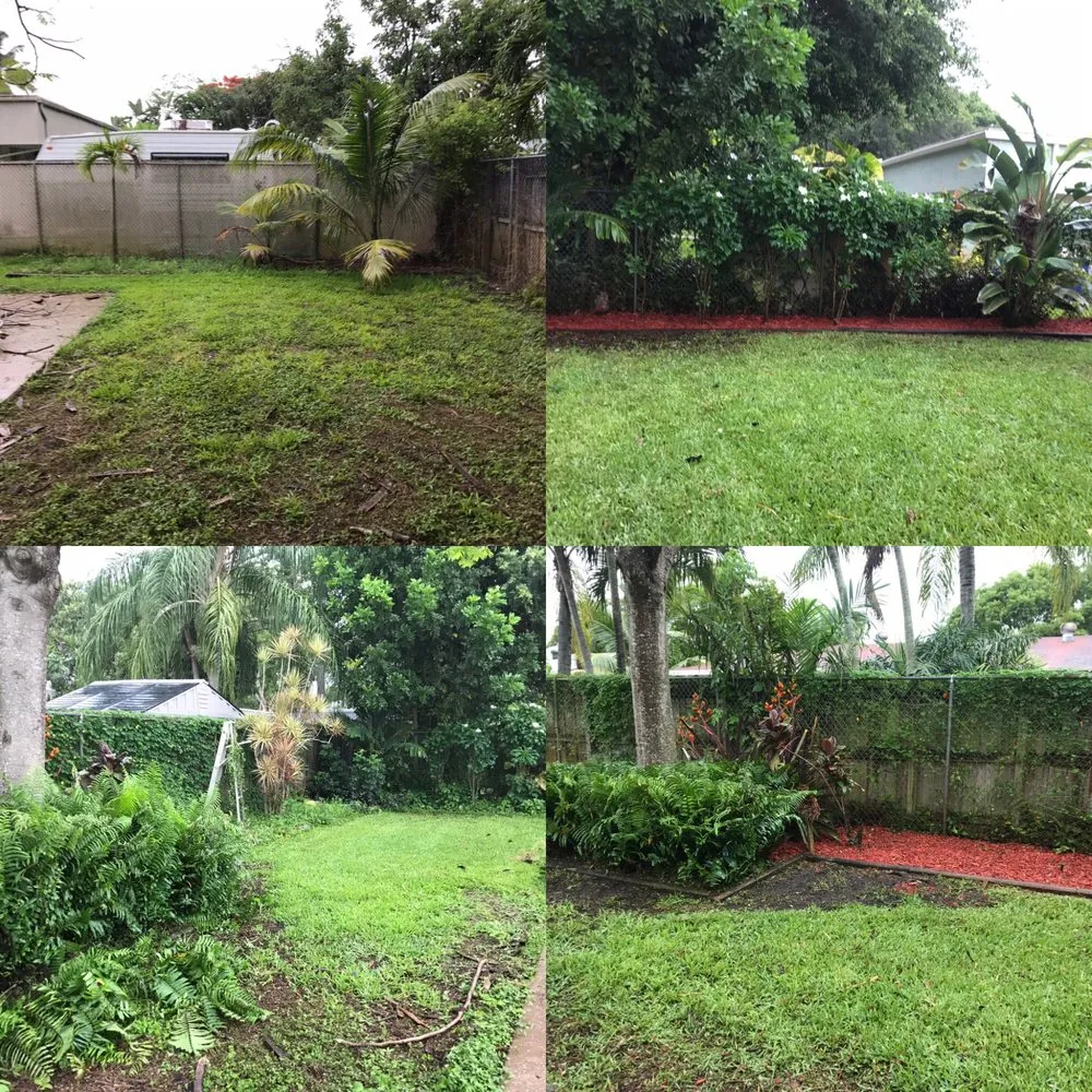 Expert landscape design near you in Davie, FL by Newman's Lawn Service