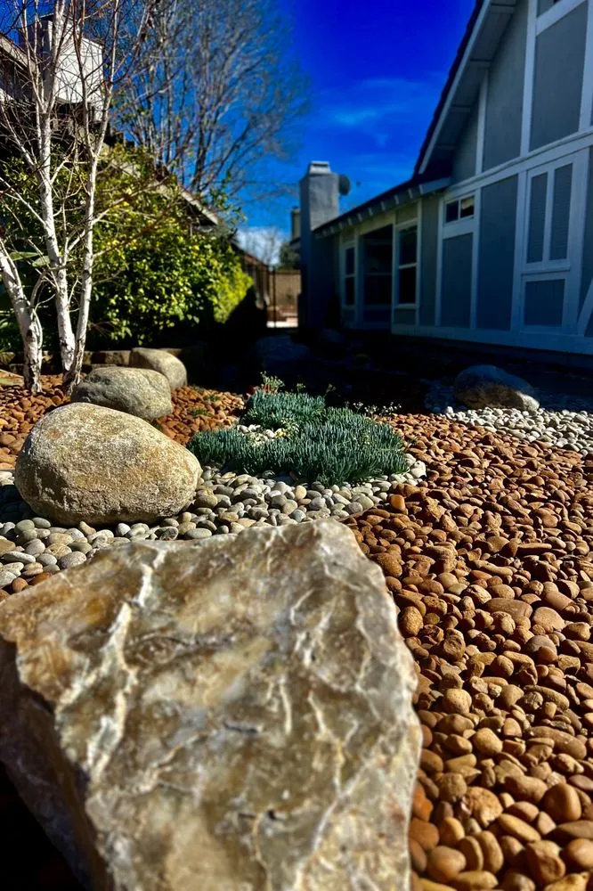 Reliable yard cleanup service in Orange, CA - Newport Landscape