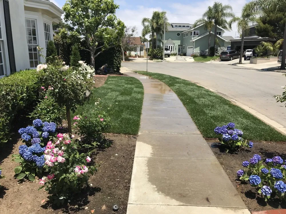 Affordable yard cleanup service experts serving Orange, CA - Newport Landscape