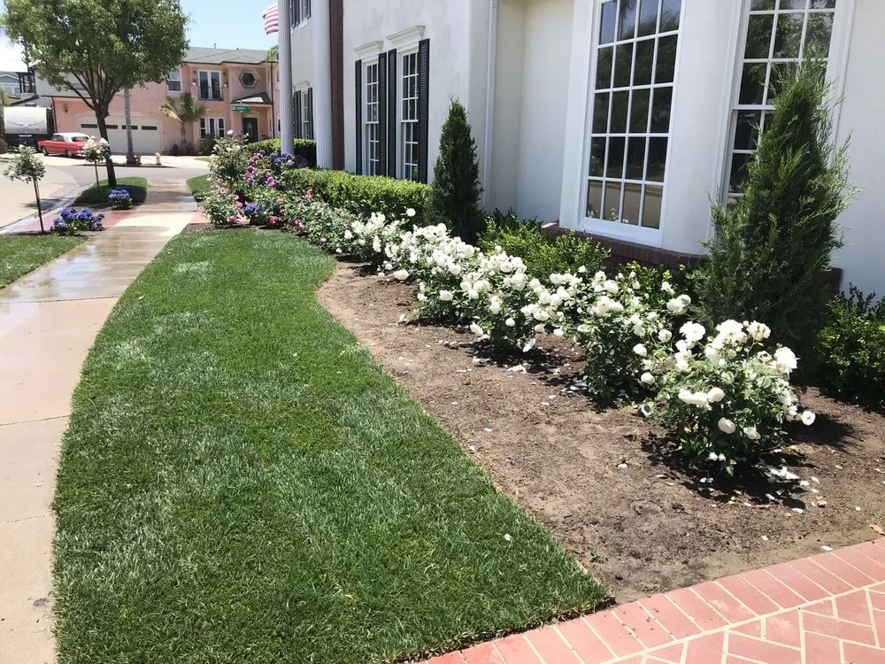 Trusted lawn care service experts serving Orange, CA - Newport Landscape