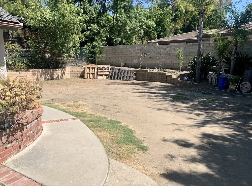 Expert yard cleanup service in Orange, CA - Newport Landscape