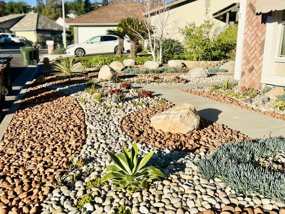 Reliable landscaping services for residential properties across Orange, CA - Newport Landscape