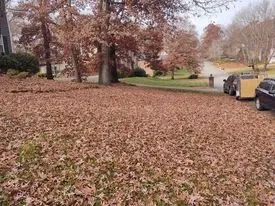 Local garden landscaping experts serving Newport, TN - Newport Lawn and Landscaping