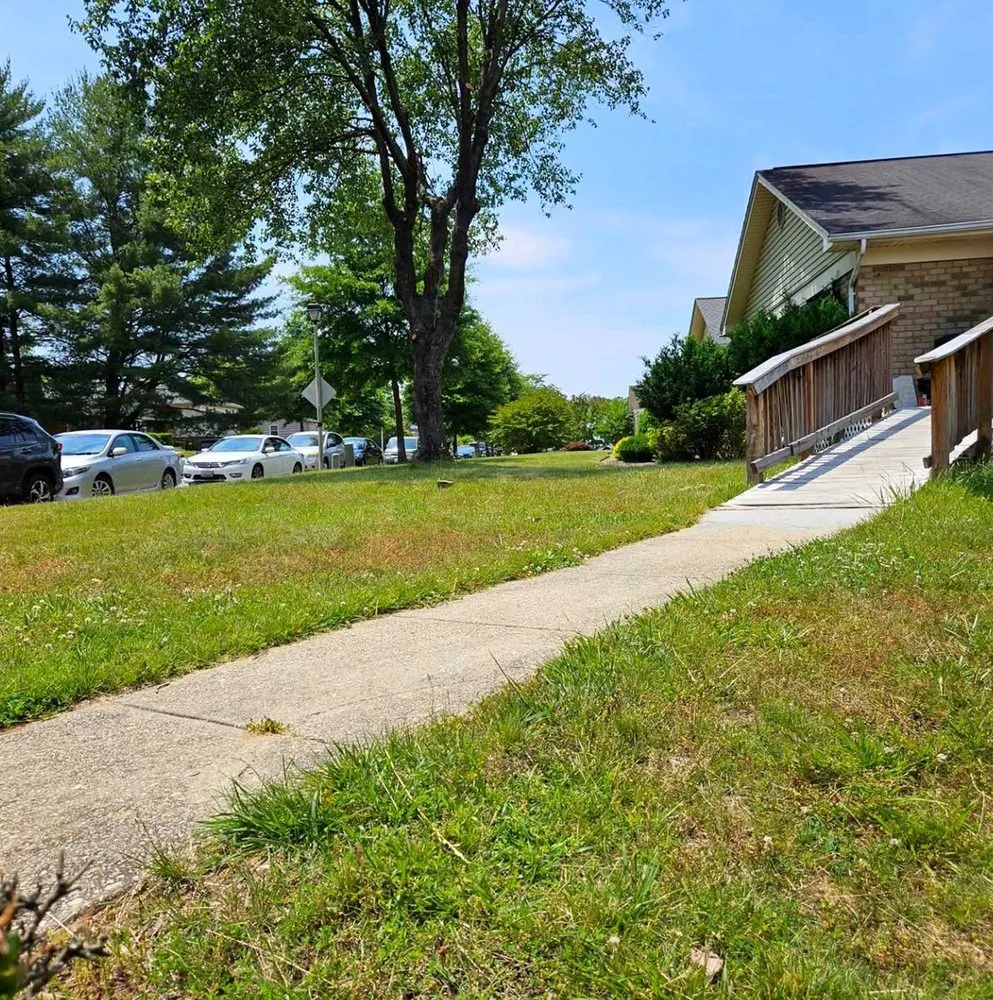 Local yard cleanup service in Seattle, WA - Newport Lawn Care