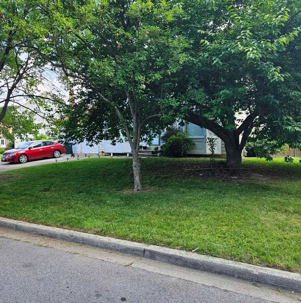 Trusted residential landscaping in Seattle, WA - Newport Lawn Care