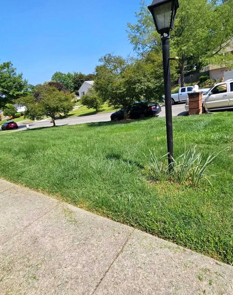 Trusted residential landscaping for beautiful yards across Seattle, WA - Newport Lawn Care