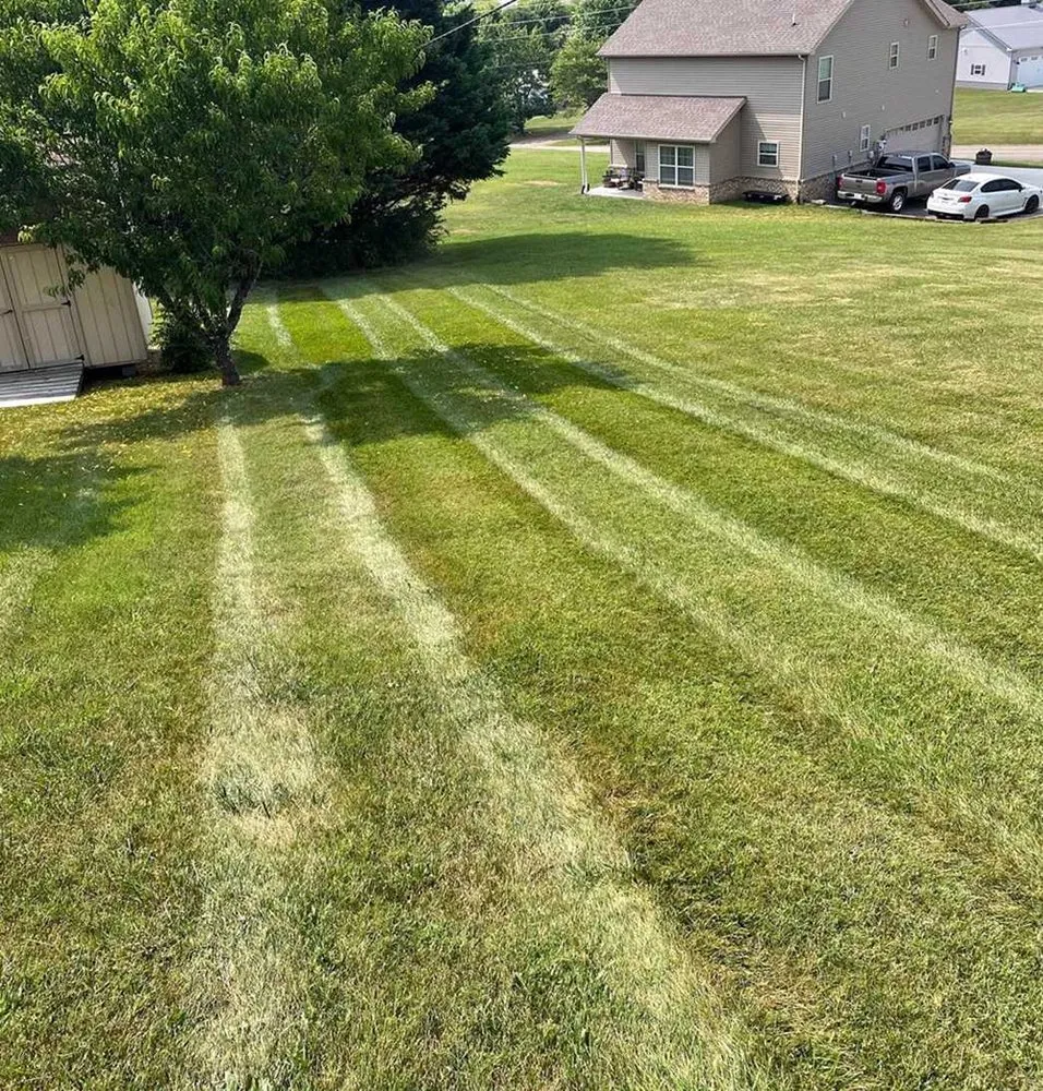 Reliable outdoor landscaping in Seattle, WA by Newport Lawn Care