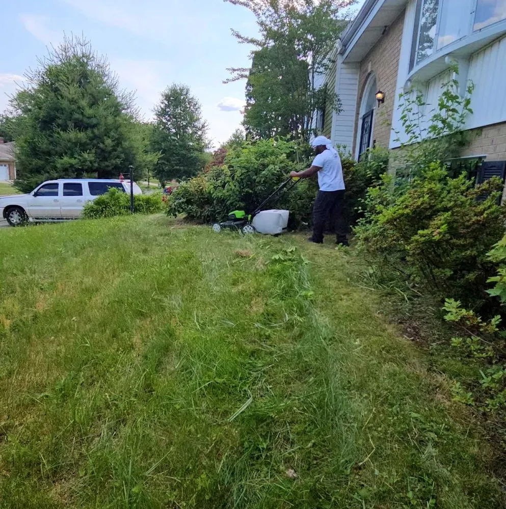 Trusted lawn mowing service experts serving Seattle, WA - Newport Lawn Care