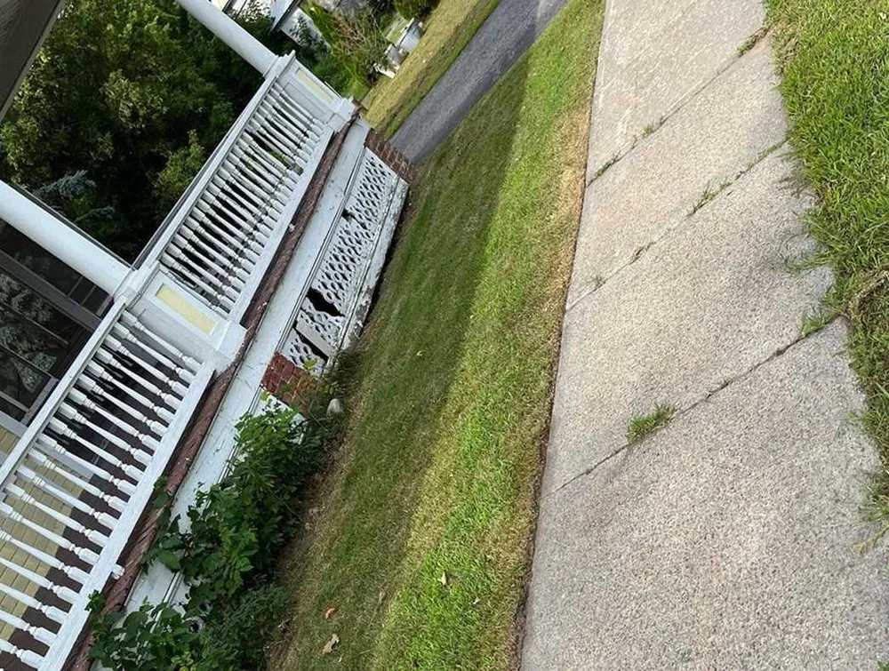 Local yard cleanup service in Seattle, WA by Newport Lawn Care