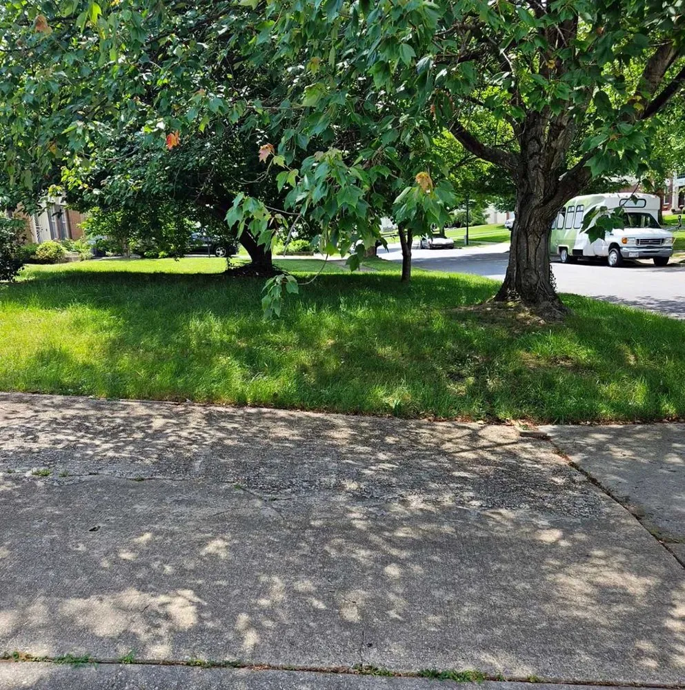 Local landscaping services experts serving Seattle, WA - Newport Lawn Care