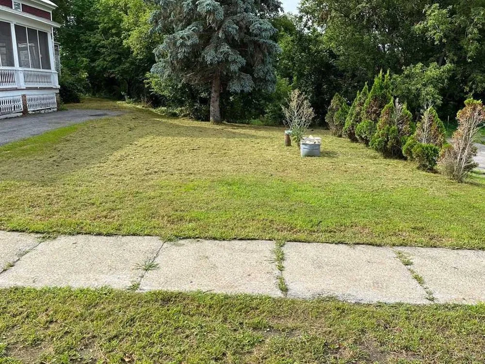 Reliable landscape installation experts serving Seattle, WA - Newport Lawn Care