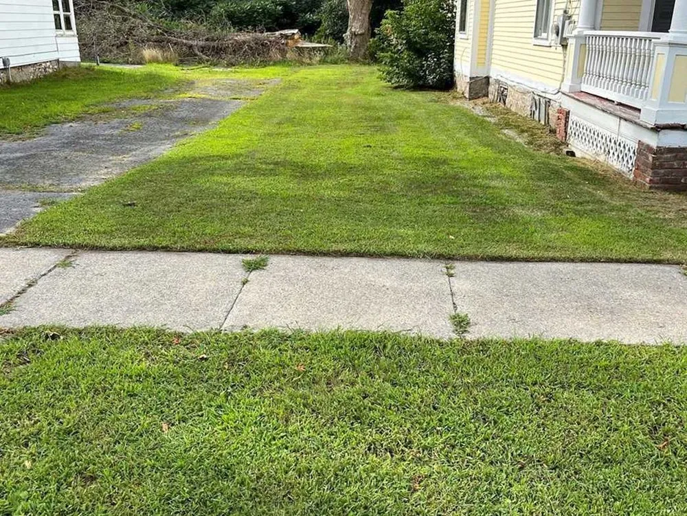 Professional lawn care service in Seattle, WA by Newport Lawn Care