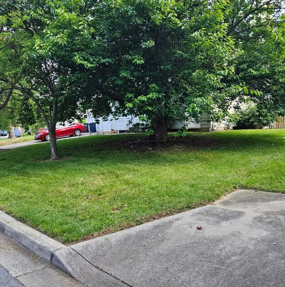 Expert lawn mowing service experts serving Seattle, WA - Newport Lawn Care