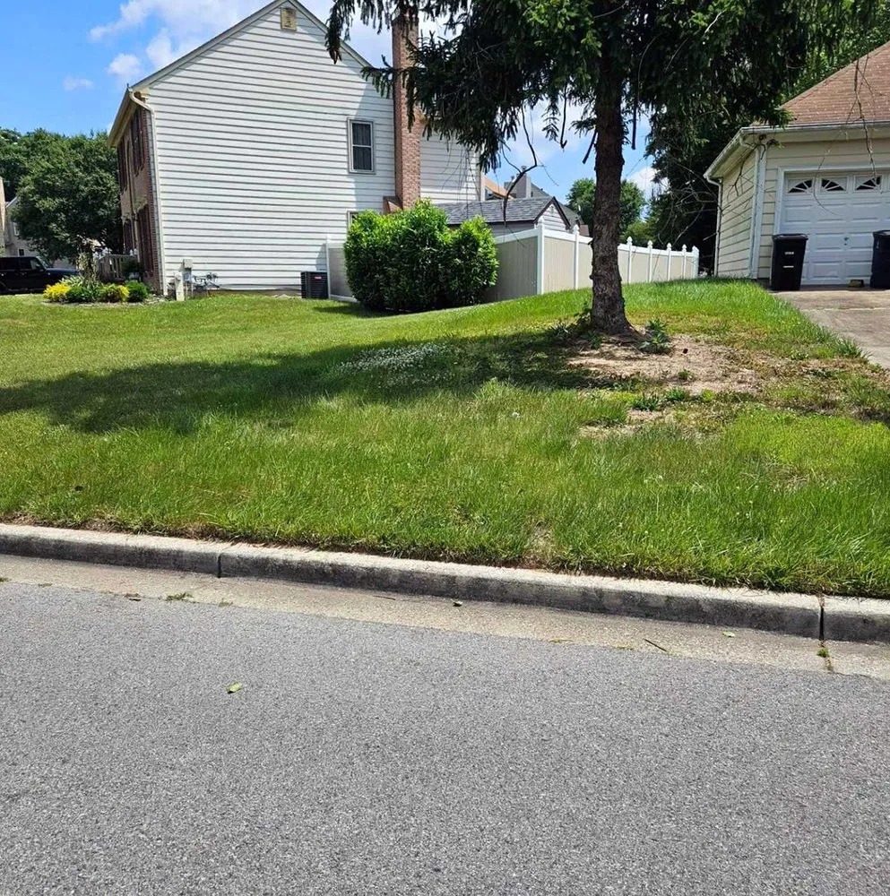 Custom yard maintenance for outdoor upgrades in Seattle, WA by Newport Lawn Care