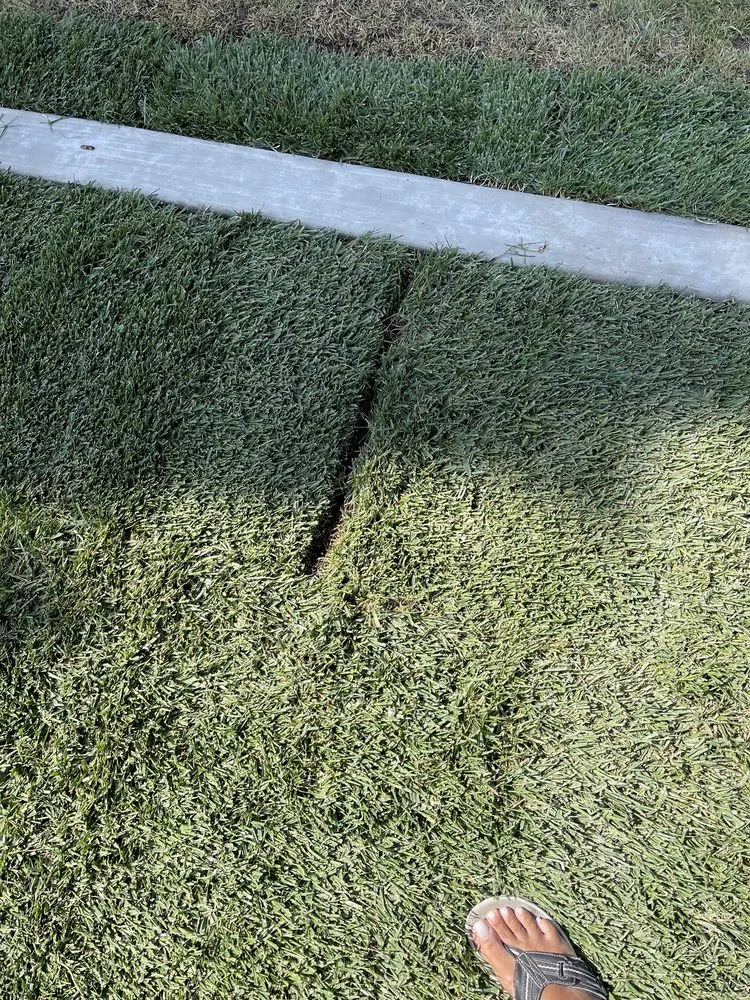 Reliable yard cleanup service experts serving Costa Mesa, CA - Newport Sprinkler Repair