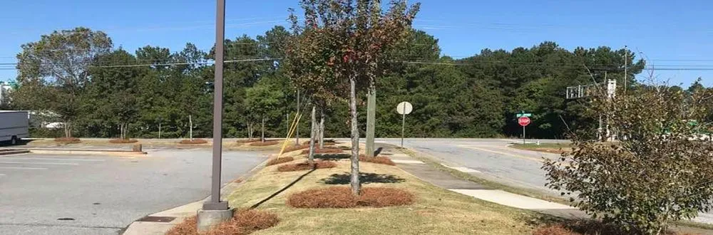Reliable landscape installation for residential properties in Duluth, GA by NewPro Landscapes