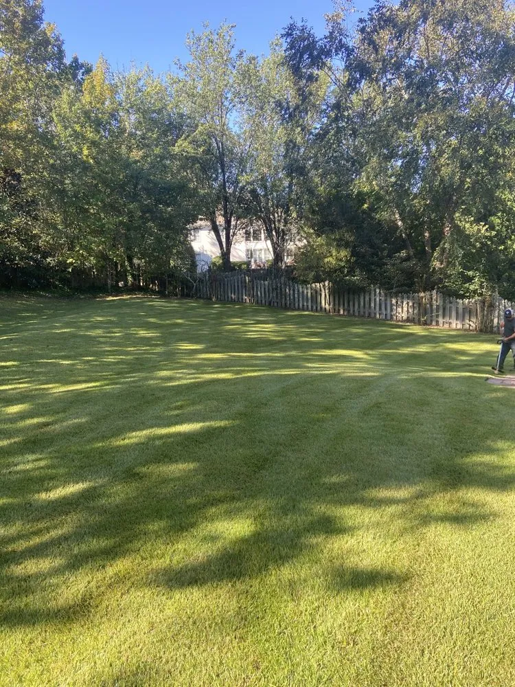 Reliable landscape design in Duluth, GA by NewPro Landscapes