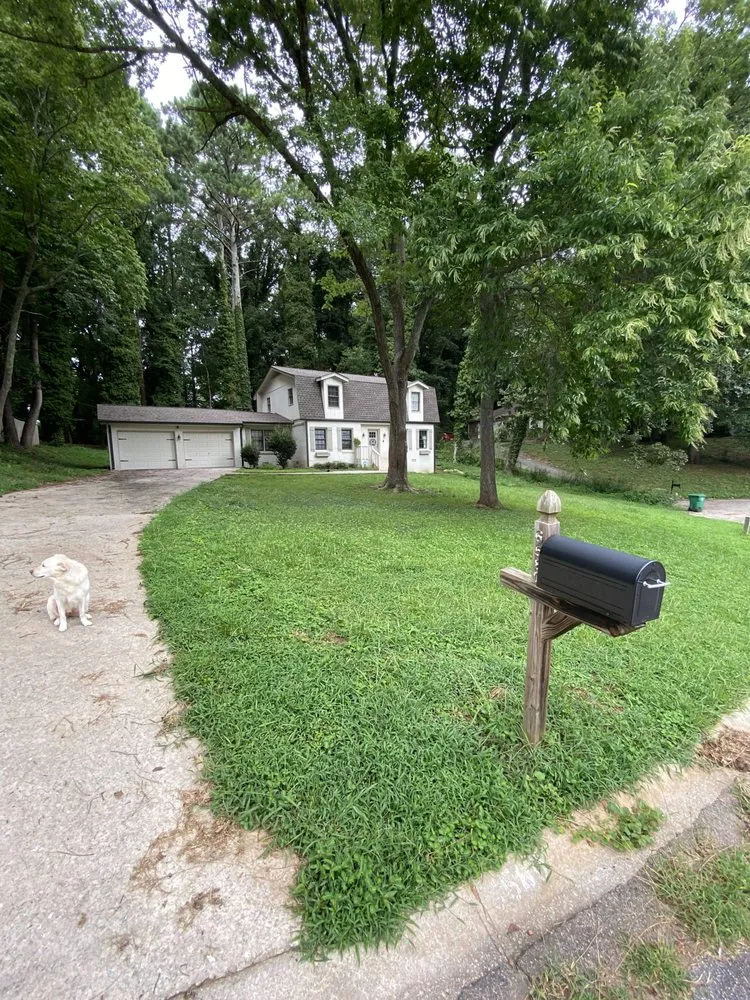 Expert residential landscaping for year-round maintenance in Duluth, GA by NewPro Landscapes