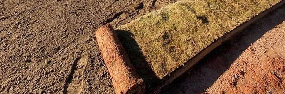 Top-rated yard maintenance in Duluth, GA - NewPro Landscapes