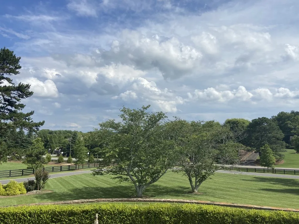 Expert lawn care service in Duluth, GA - NewPro Landscapes