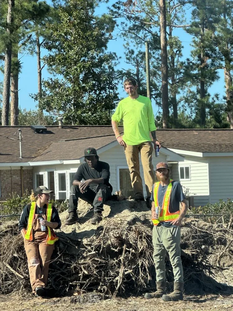 Expert landscaping services for year-round maintenance in Swainsboro, GA by Newsomes Contracting