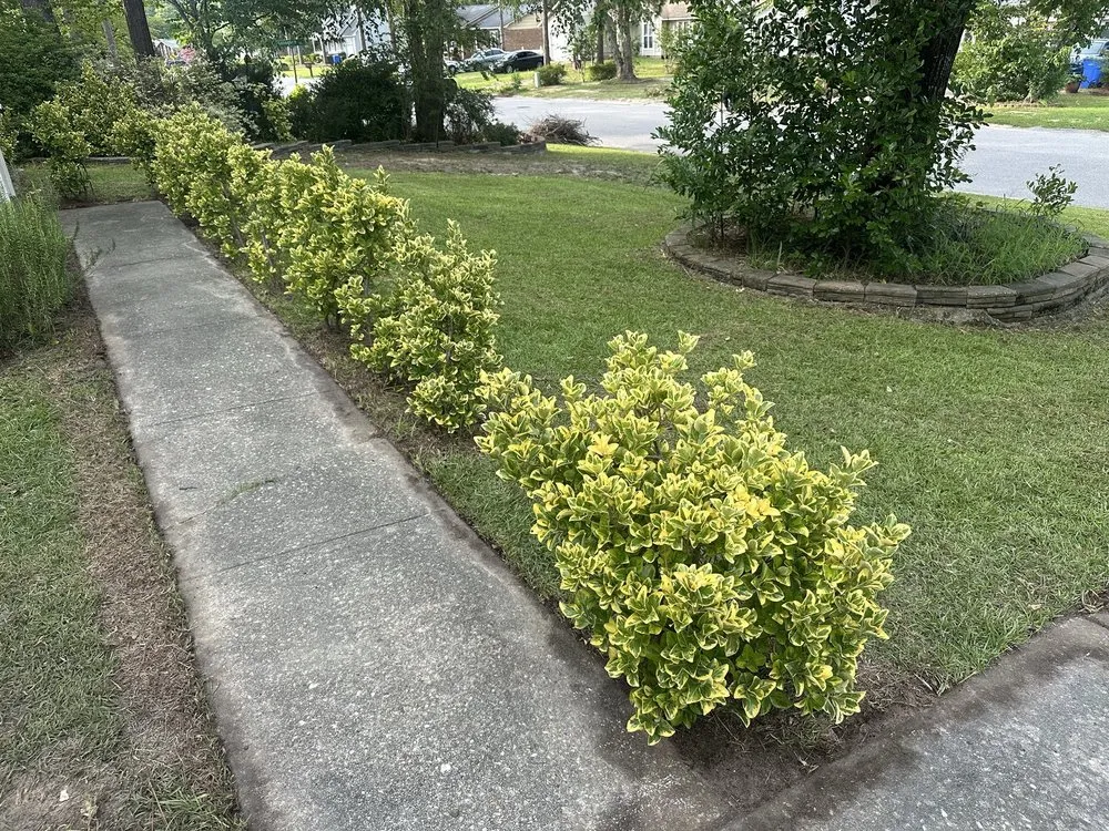 Affordable outdoor landscaping with custom design across Fayetteville, NC - Newsome’s Lawn and Garden Services