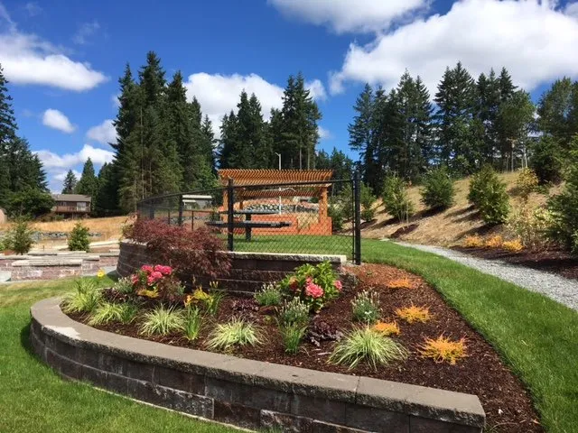 Trusted yard cleanup service experts serving Everett, WA - Newspring