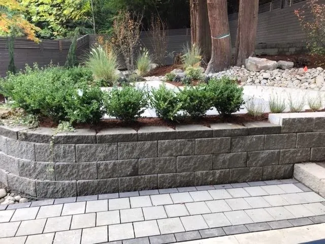 Affordable yard cleanup service in Everett, WA by Newspring