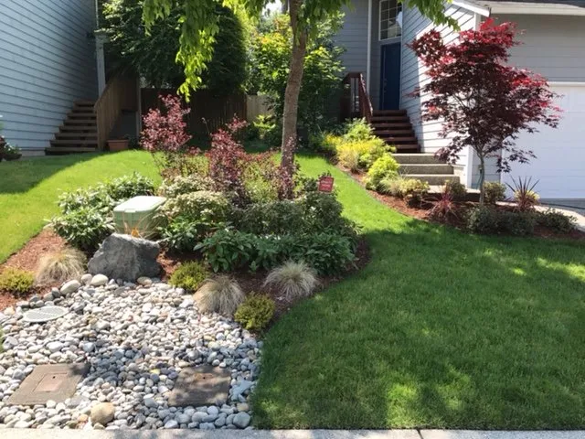 Reliable yard cleanup service experts serving Everett, WA - Newspring