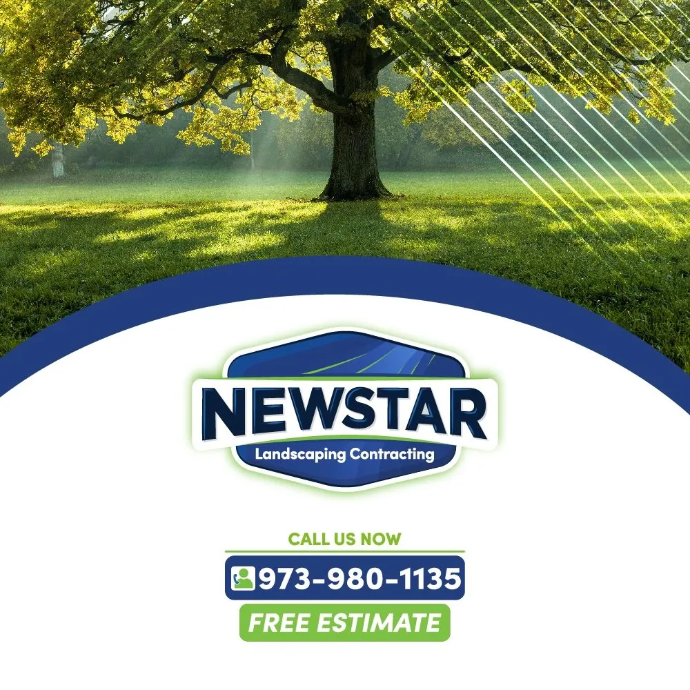 Reliable residential landscaping in Kearny, NJ by Newstar Landscaping Contracting