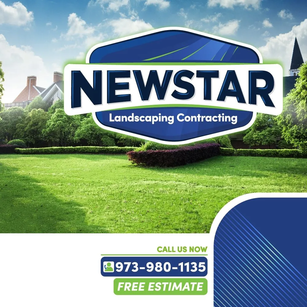 Expert outdoor landscaping for beautiful yards across Kearny, NJ - Newstar Landscaping Contracting