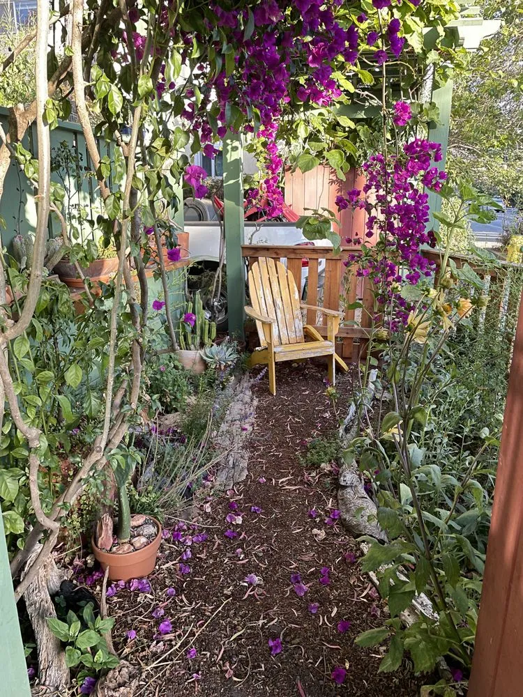 Custom yard maintenance for year-round maintenance across Santa Cruz, CA - Newt Gardens