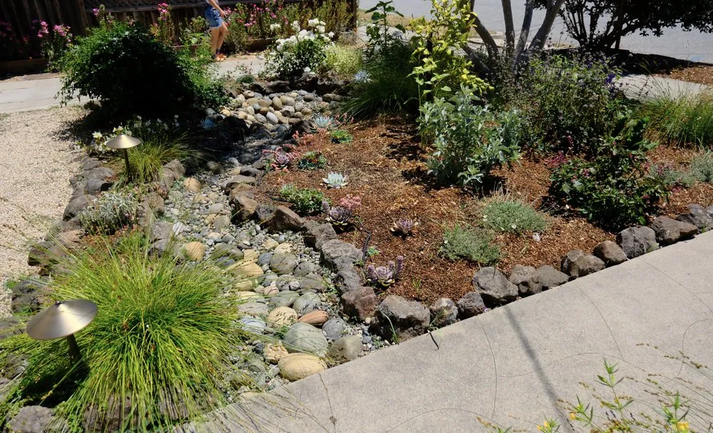 Reliable yard cleanup service for homes across Santa Cruz, CA - Newt Gardens