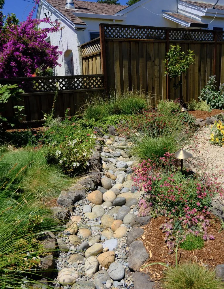 Expert landscaping services experts serving Santa Cruz, CA - Newt Gardens