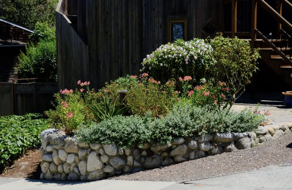 Trusted outdoor landscaping experts serving Santa Cruz, CA - Newt Gardens