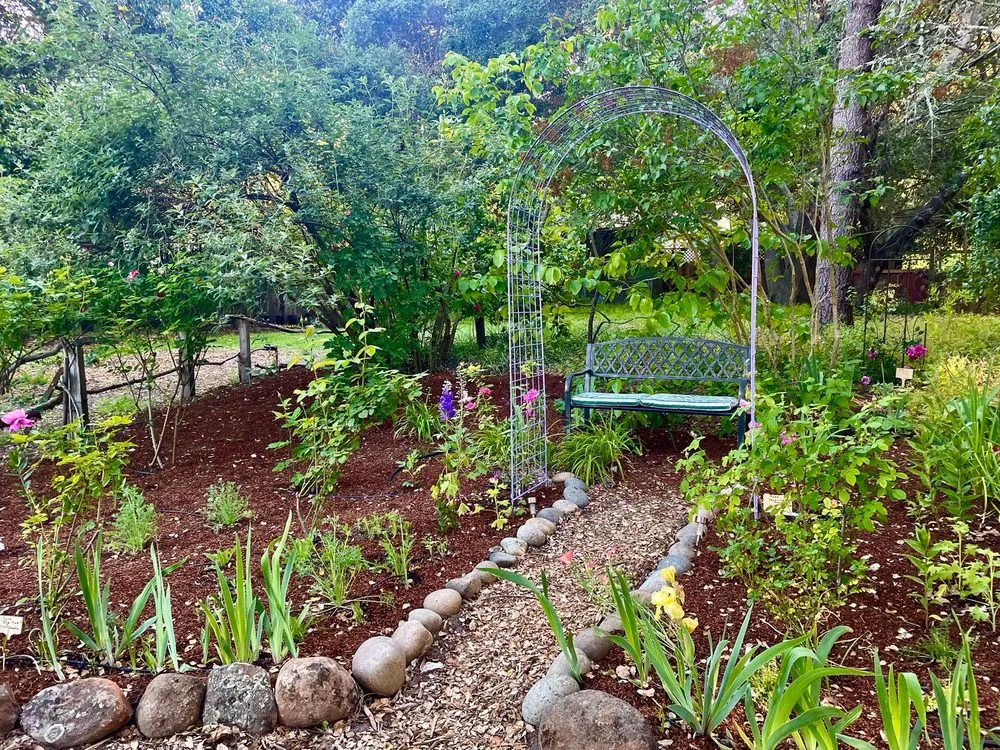 Trusted lawn care service experts serving Santa Cruz, CA - Newt Gardens