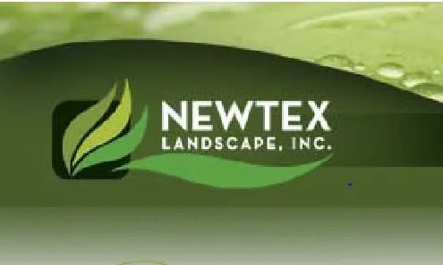 Trusted landscaping services in Henderson, NV - Newtex Landscape