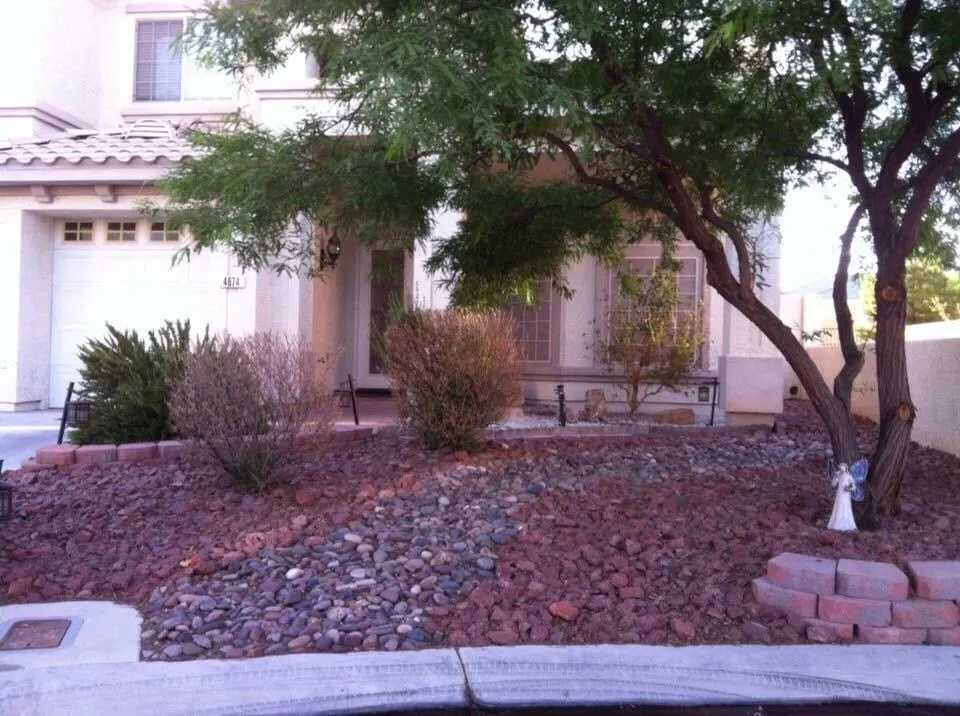 Local lawn mowing service for outdoor upgrades across Henderson, NV - Newtex Landscape