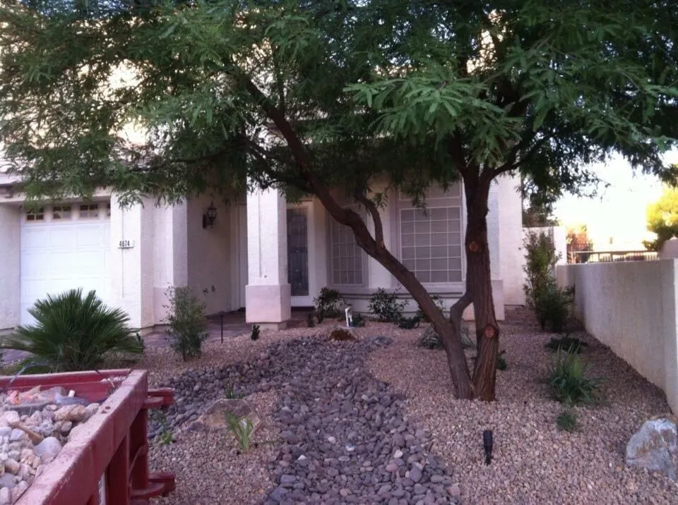Top-rated yard cleanup service for outdoor upgrades across Henderson, NV - Newtex Landscape