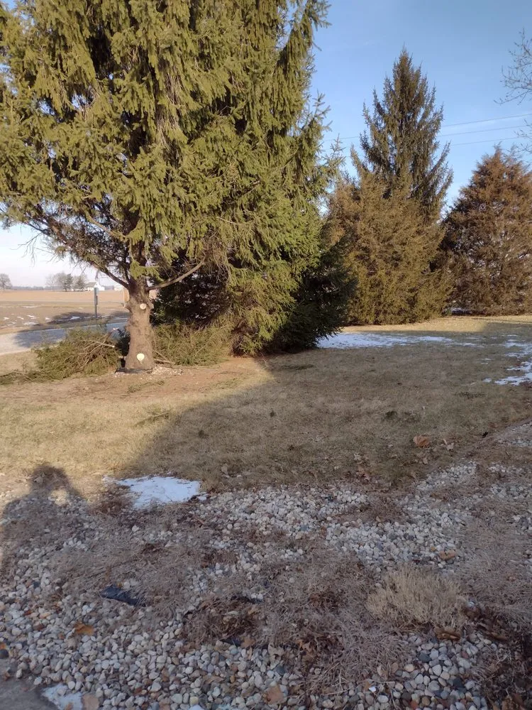 Affordable residential landscaping in Sharpsville, IN by Newton Brother Lawn Care